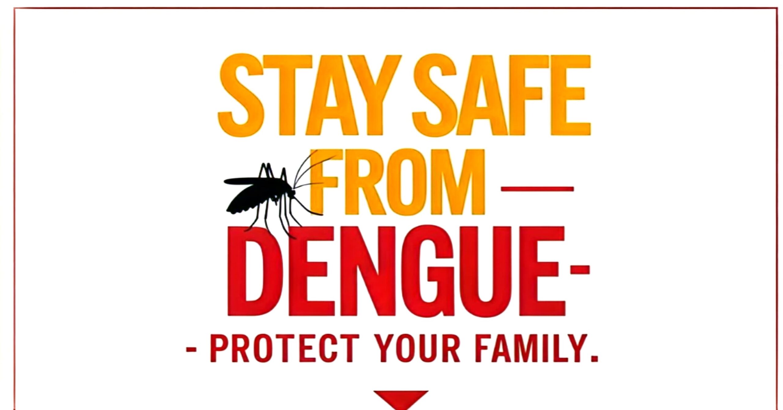 Stay safe from dengue 2025 — protect your family