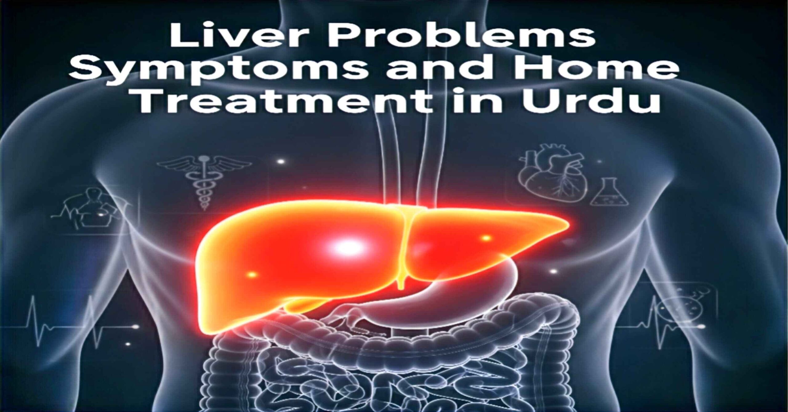 Liver Problems Symptoms and Home Treatment in Urdu – Causes, Prevention, and Remedies