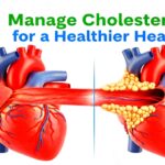 Image showing healthy heart and arteries with high cholesterol plaque buildup. Title: 'Manage Cholesterol for a Healthier Heart'.
