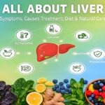 All About Liver — illustration of a healthy human liver with medical icons, representing liver functions, symptoms, diseases, diagnosis, treatment, and prevention.
